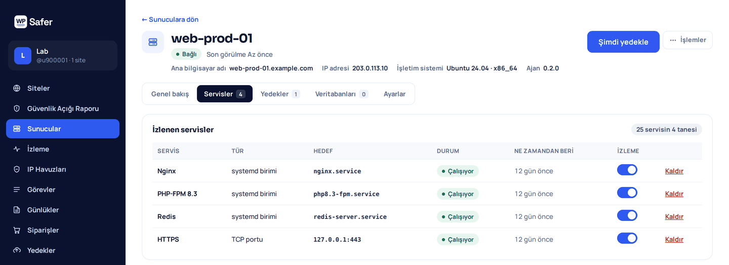 Bir sunucunun Servisler sekmesi: Nginx, PHP-FPM, Redis ve HTTPS portu; her biri çalışıyor olarak, o durumda ne kadar süredir olduğuyla gösteriliyor.